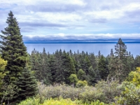 Fundy National Park Of Canada